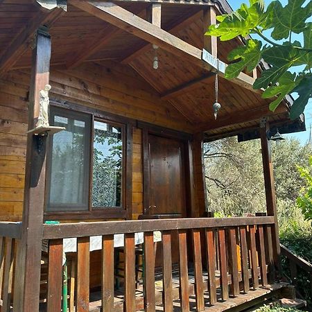 Olimpos Bungalov Apart Aparthotel Balikliova Luaran gambar